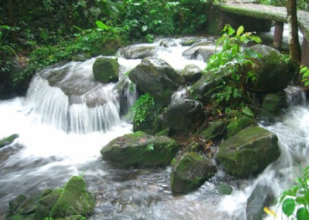 小溪流水图片