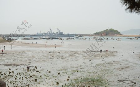 小青岛港湾图片