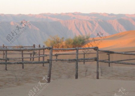沙漠之晨图片