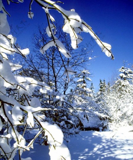 大雪迷幻风景8图片