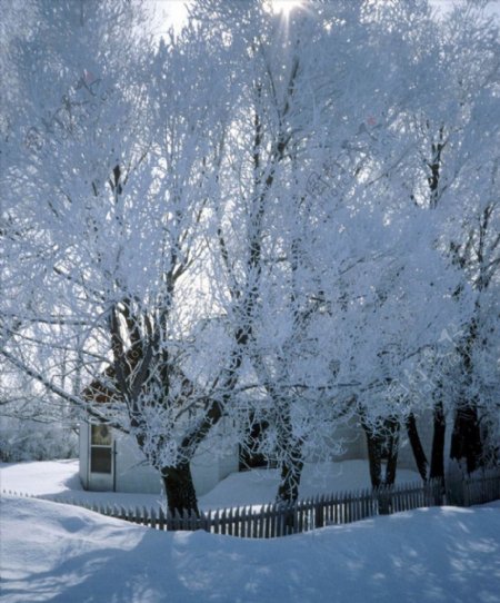 大雪迷幻风景1图片