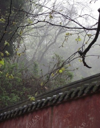 都江堰二王庙红墙一角图片