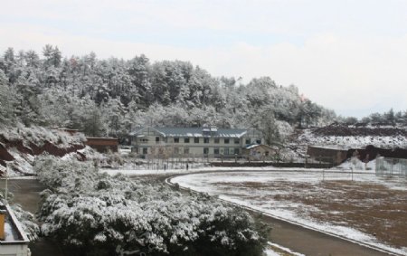 学院美景之雪景图片