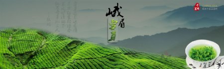茶叶banner图片