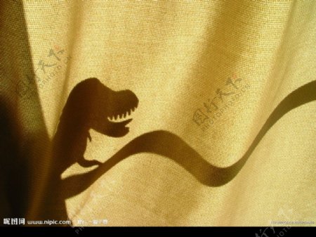 恐龙投影图片