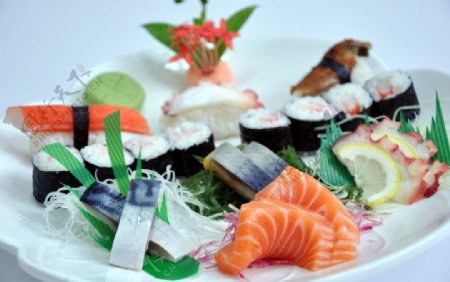 鱼生寿司盘大图片