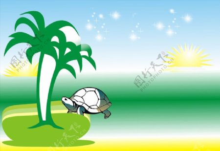 椰子树龟图片