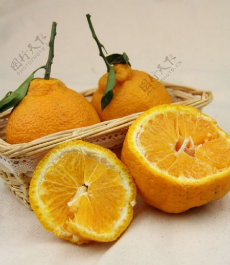 丑橘丑柑柑橘图片