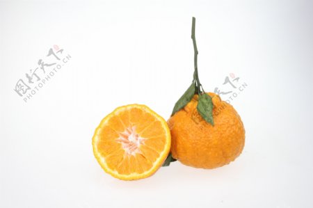 丑橘丑柑图片