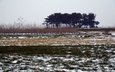 临沂沂蒙风貌沭河图片