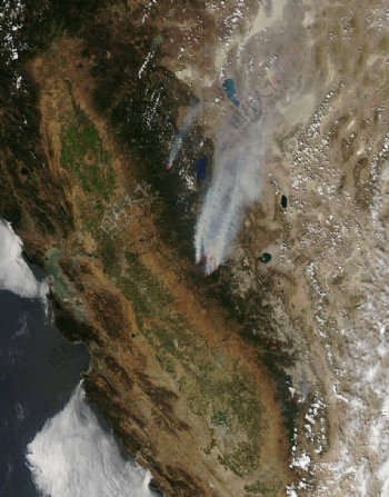 加利福利亚大火图片