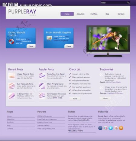 紫色幻彩网页模板图片