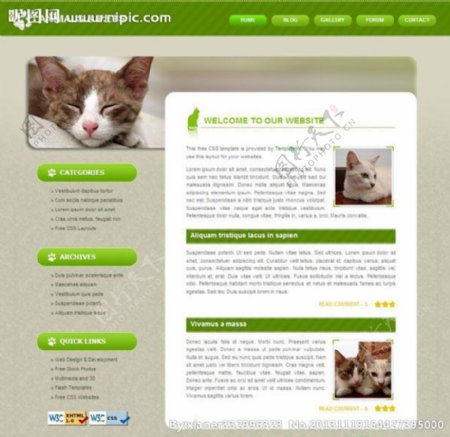 动物宠物布局网页模板图片