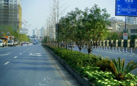 2009道路绿化银奖奖小河路道路景观照片图片