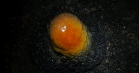 蛋黄石图片