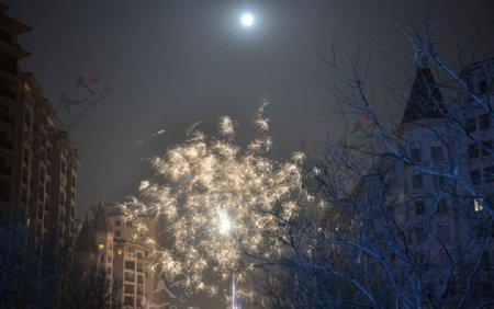 烟火夜晚月亮马路图片