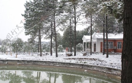 乡村雪景摄影图图片