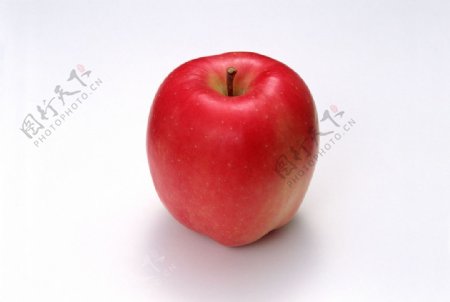 红富士苹果系列图片