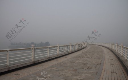 雾中桥图片