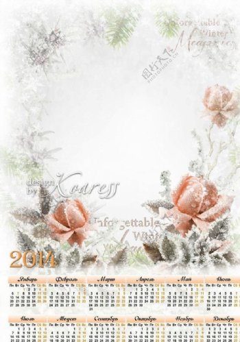 花朵2014日历相框图片