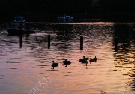 夕阳下的小湖图片