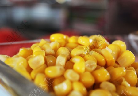 玉米粒图片