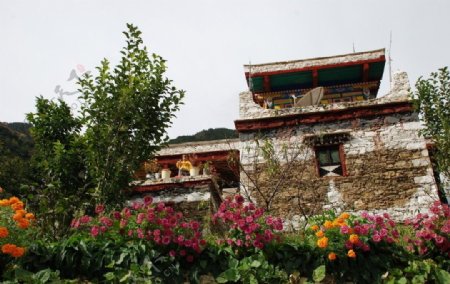 甲居藏寨藏民民居图片