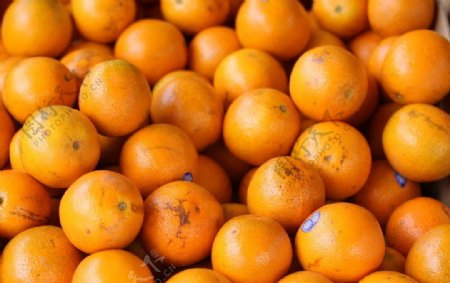 超市里面的橙子图片