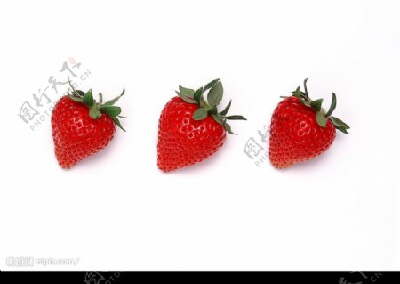 草莓3图片