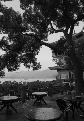 杭州西湖边的茶室图片