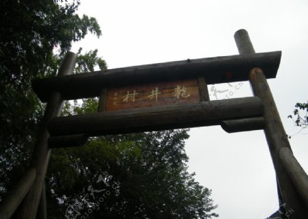 狮峰龙井村图片