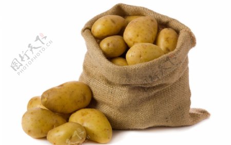 马铃薯图片