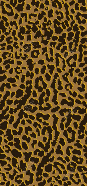 豹纹黄图片