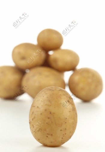 土豆马铃薯图片