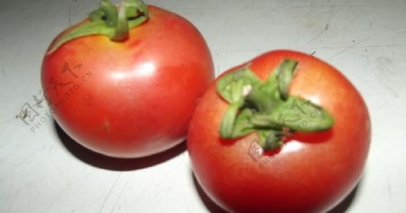 西红柿水果蔬菜图片
