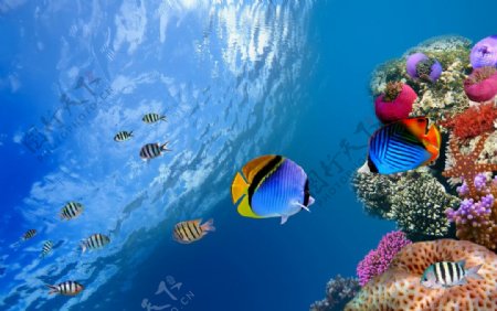 水族馆海底世界图片