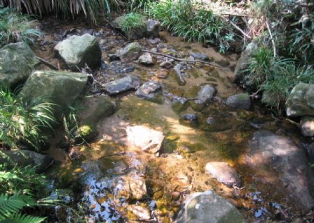 井冈山山水溪水石头图片