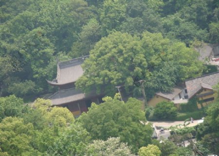 西湖风景杭州风景雷峰塔周边风景风景西湖图片