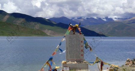 西藏羊卓雍错湖风光图片