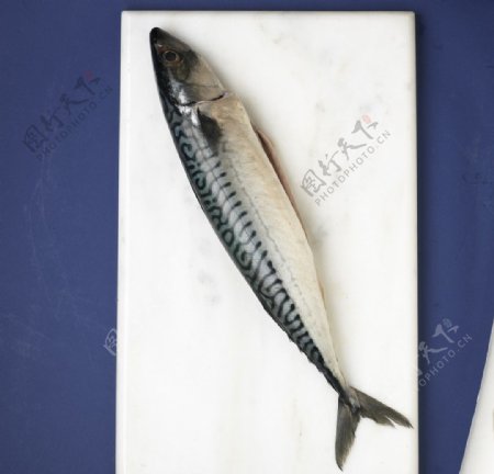 砧板上的秋刀鱼图片