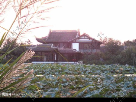 高子水居图片