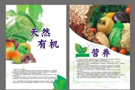 天然有机五谷杂粮水果单页海报图片