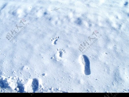 新疆奇台雪景图片