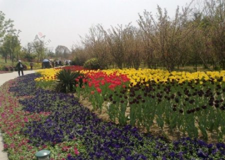 烟花三月扬州风景图片