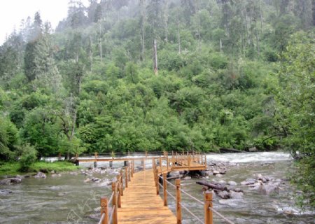 高原河流上的木桥图片