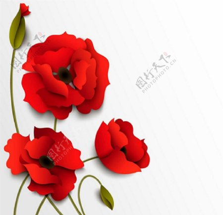 立体花朵矢量红色花朵剪纸花图片