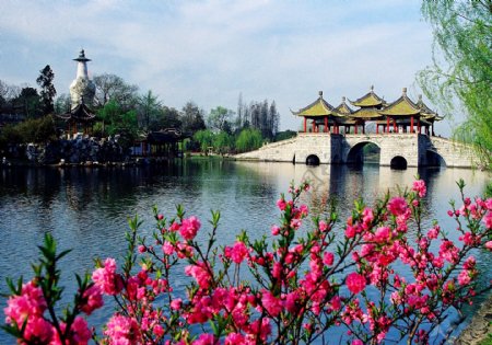扬州瘦西湖之春图片