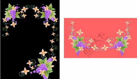 葡萄花朵蝴蝶背景图片