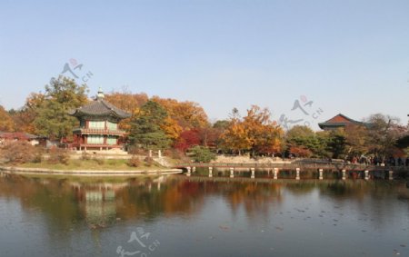 韩国首尔秋天景福宫图片