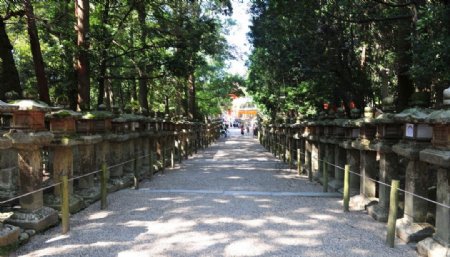日本奈良图片